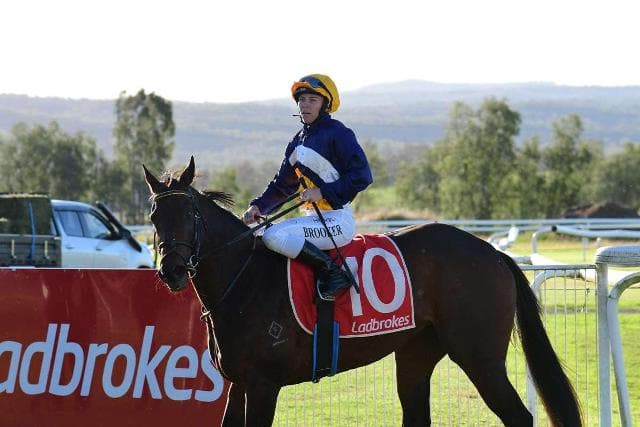 Elusive Domina takes out the QTIS Bonus win at Gatton