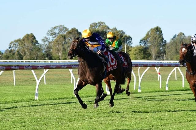 Elusive Domina takes out the QTIS Bonus win at Gatton