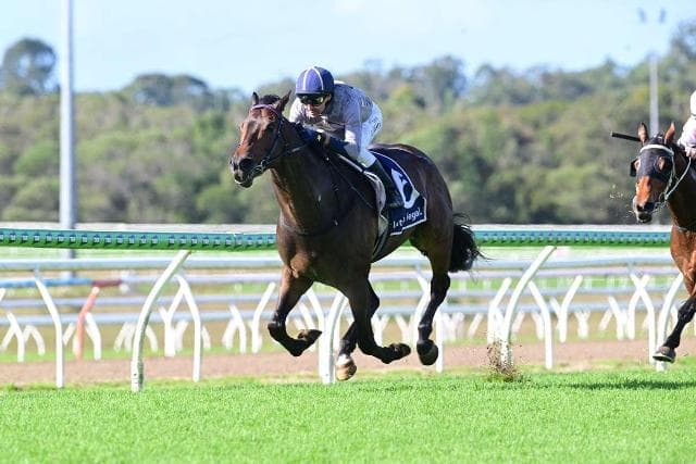 Cool Drinks wins 1st up at the Sunshine Coast