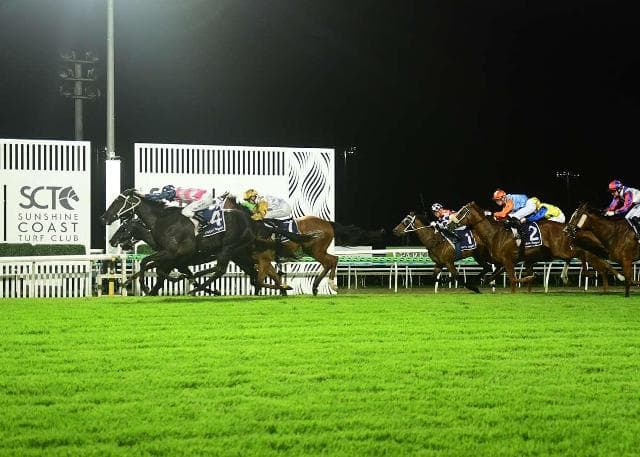 Streak of Winning wins at Sunshine Coast