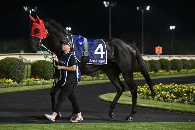 Streak of Winning wins at Sunshine Coast
