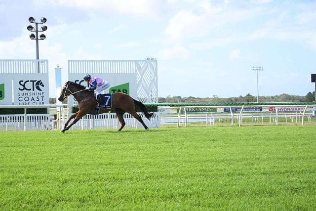 Chalice Well blitzes at the Sunshine Coast