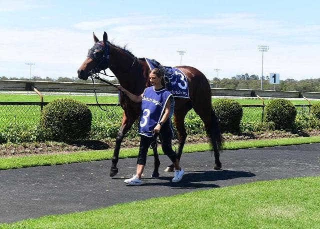 Arabian Rose does it easy again!