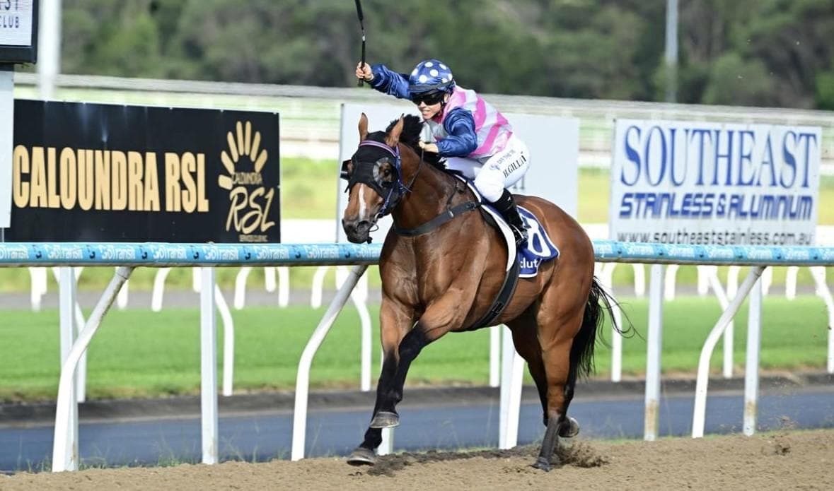 Picture of the author