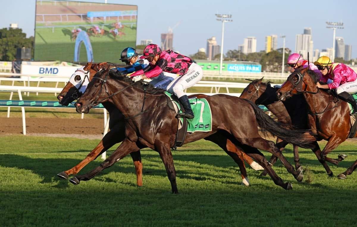 Picture of the author