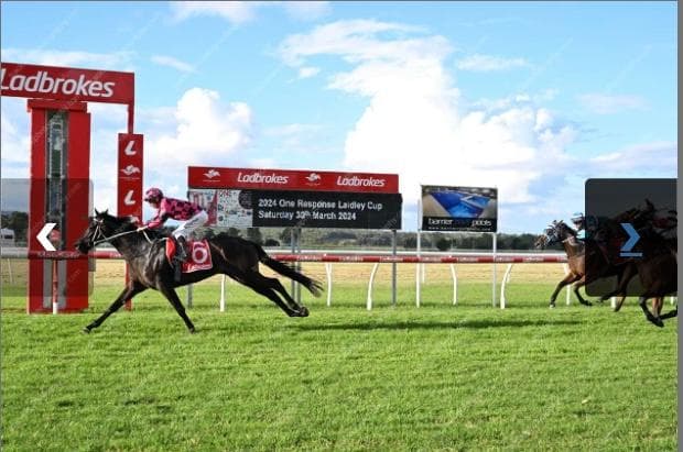 Picture of the author