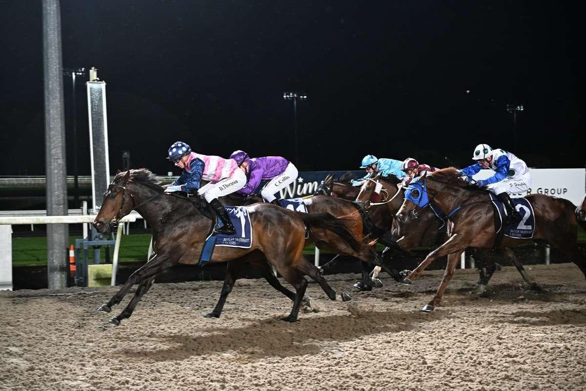 Picture of the author