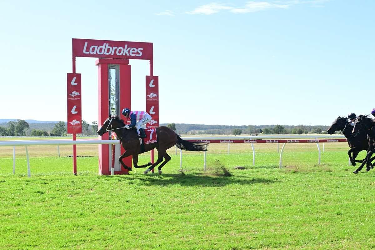 Picture of the author