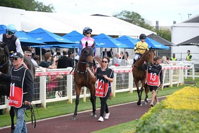 Arabian Rose wins at Doomben on Cup Day
