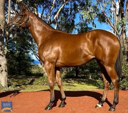 Picture of the author