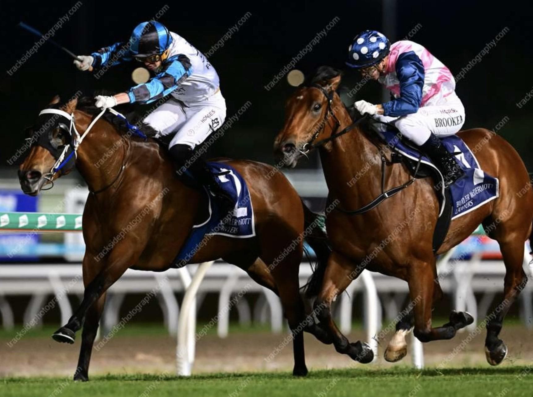 Picture of the author