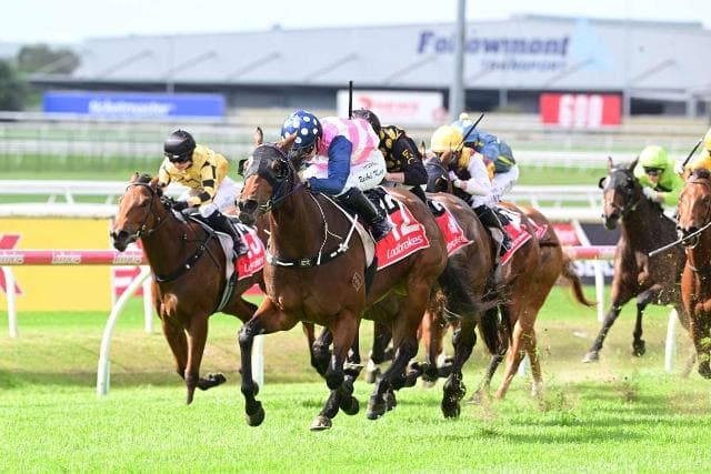 Arabian Rose wins at Doomben on Cup Day