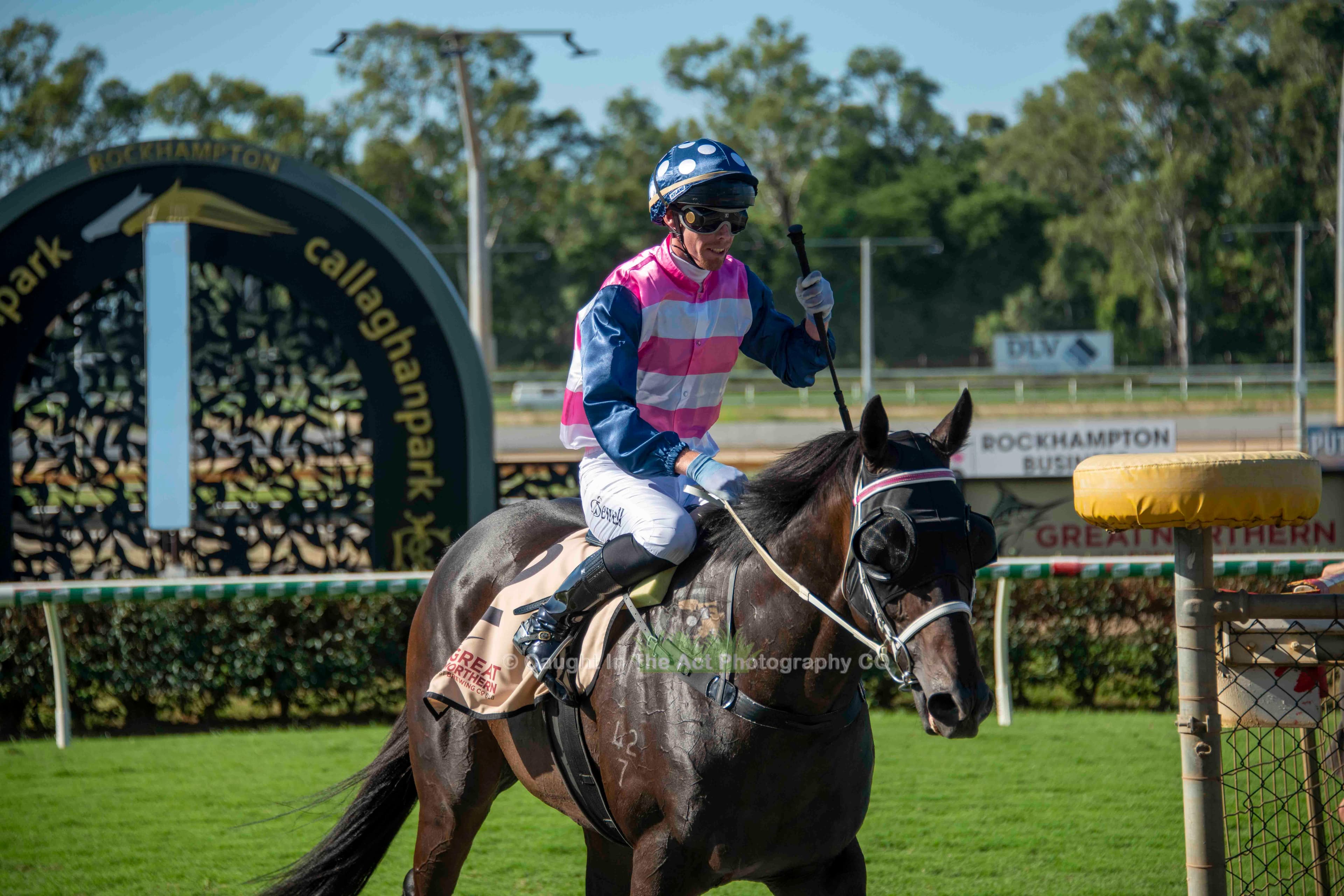 Picture of the author