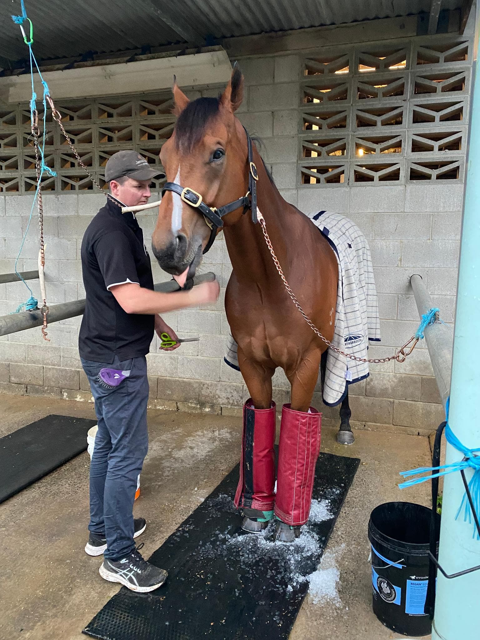 Picture of the author