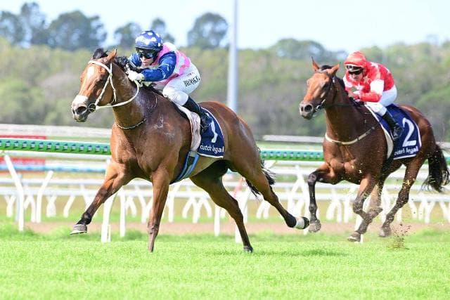 Chalice Well blitzes at the Sunshine Coast