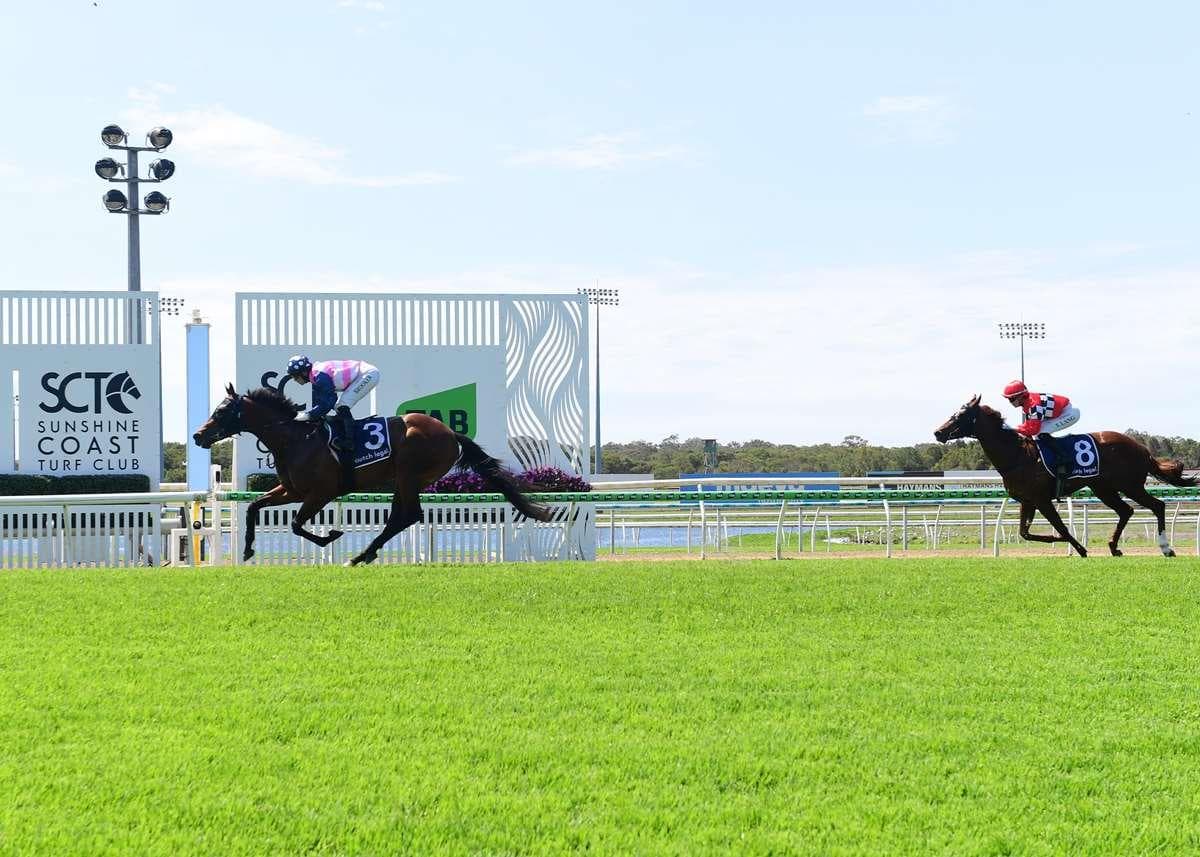 Picture of the author