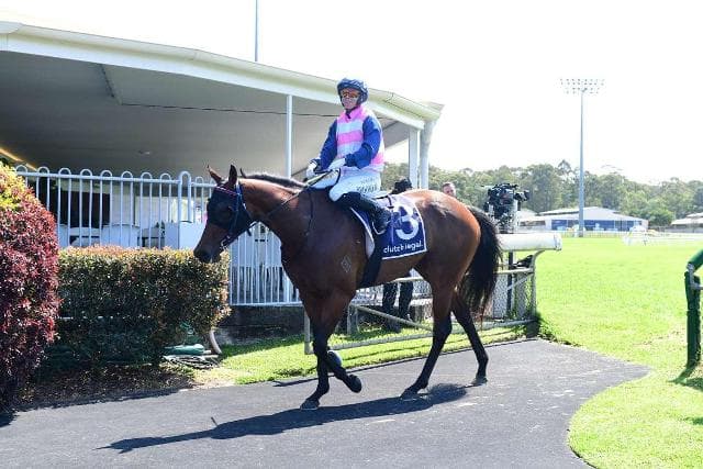 Arabian Rose does it easy again!