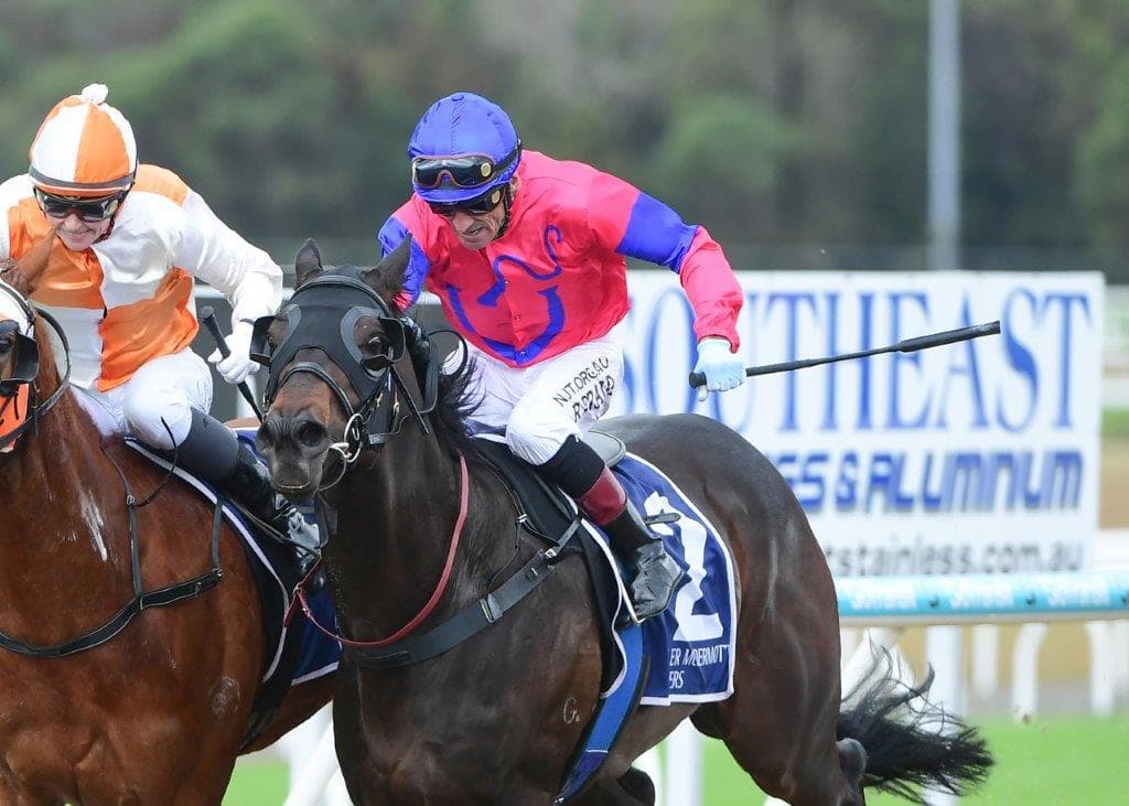 Picture of the author