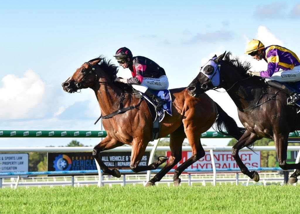 Picture of the author