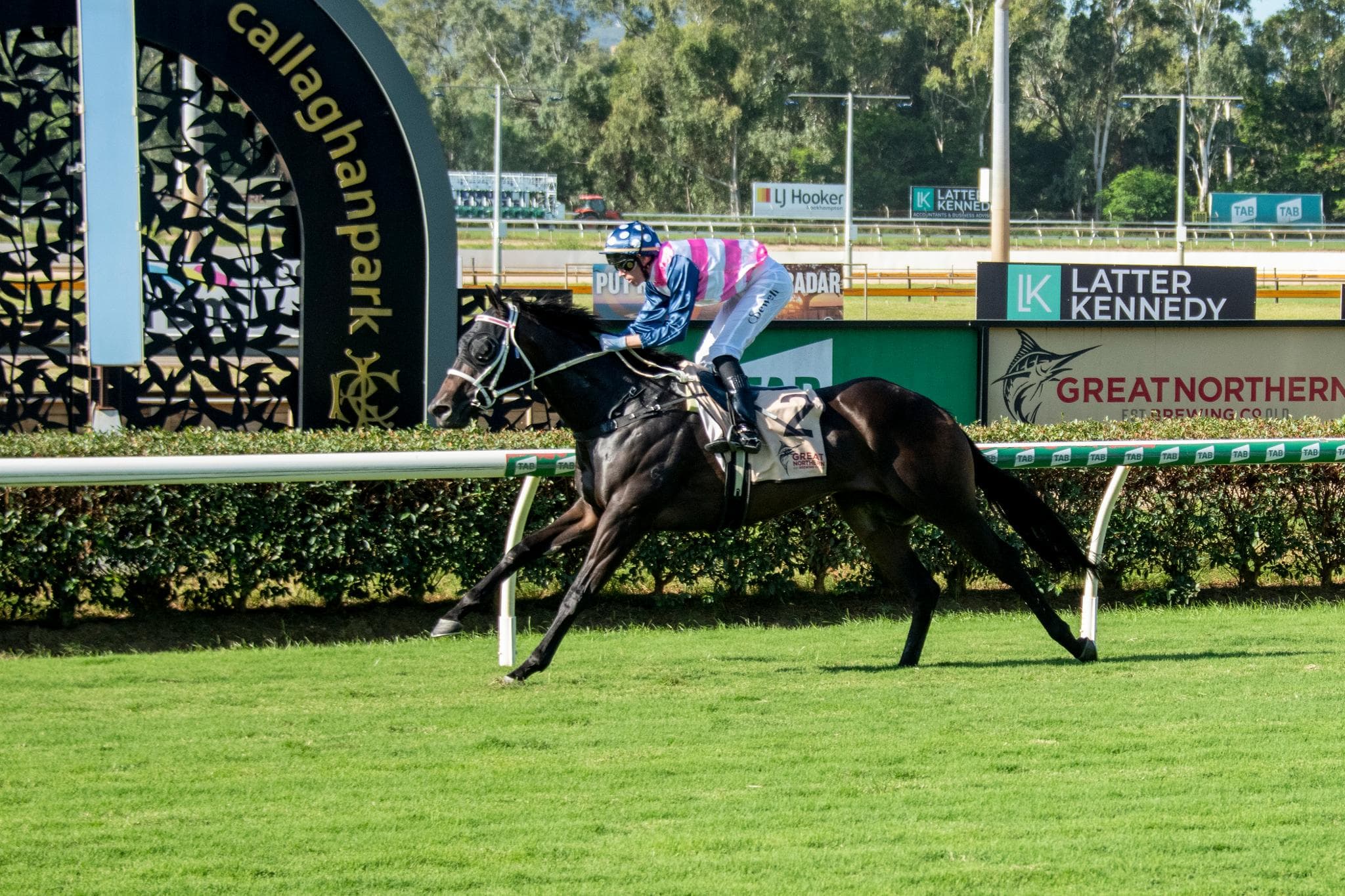 Picture of the author