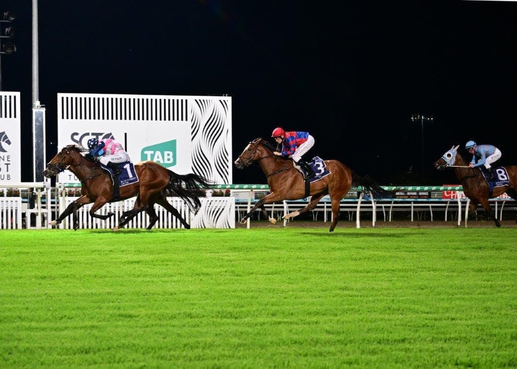 Picture of the author