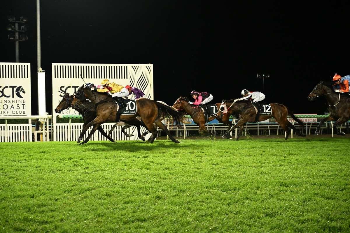 Picture of the author