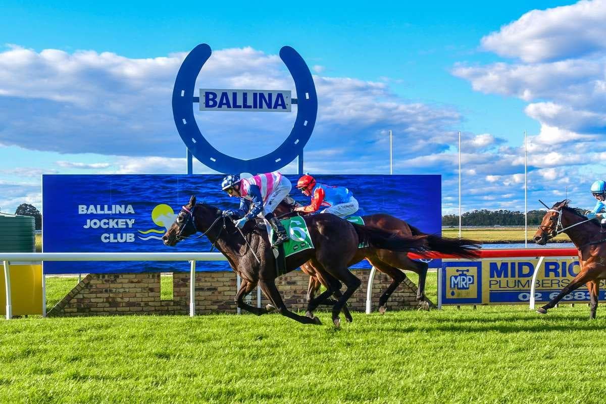 Picture of the author