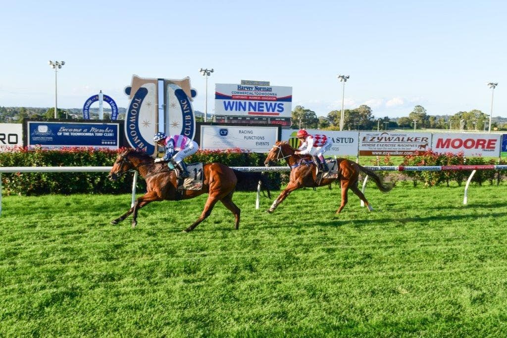 Picture of the author