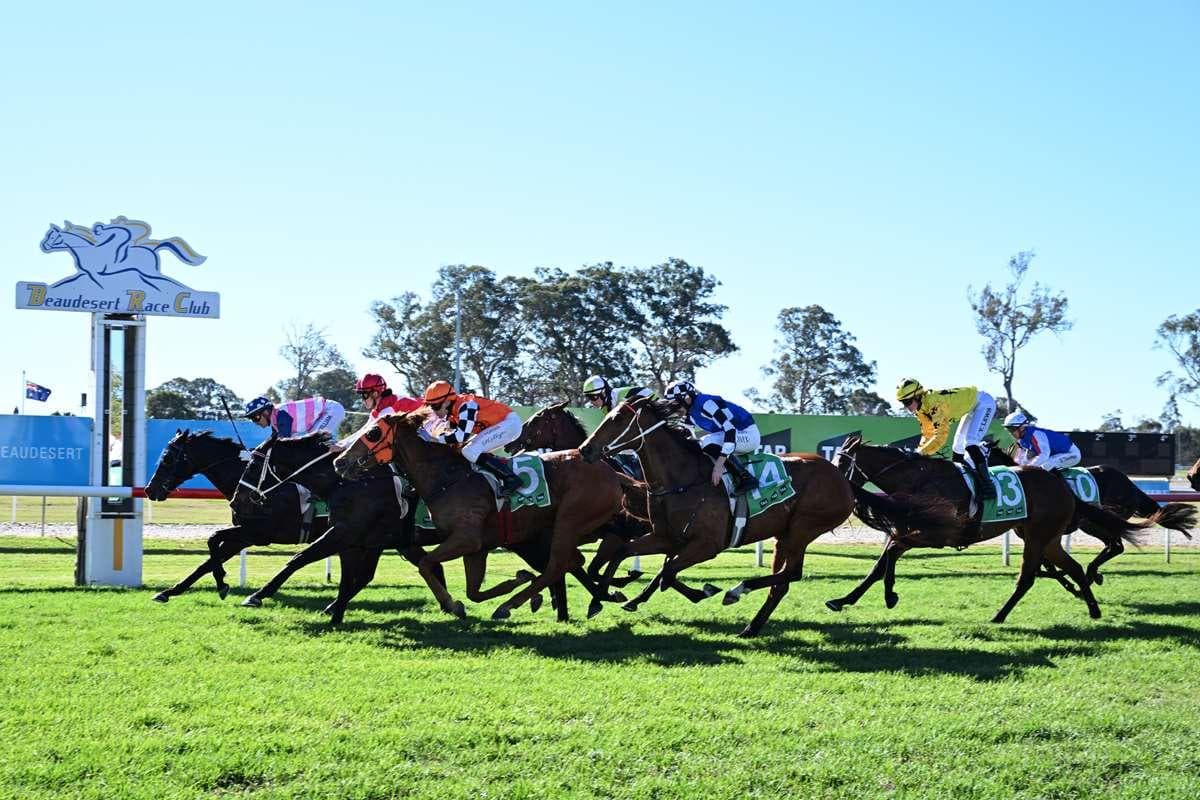 Picture of the author