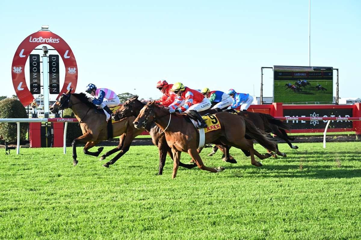 Picture of the author