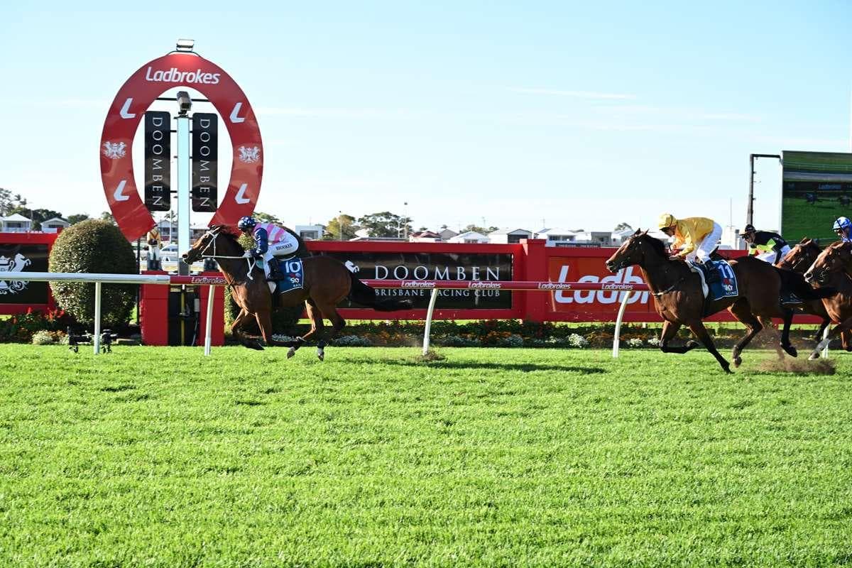 Picture of the author