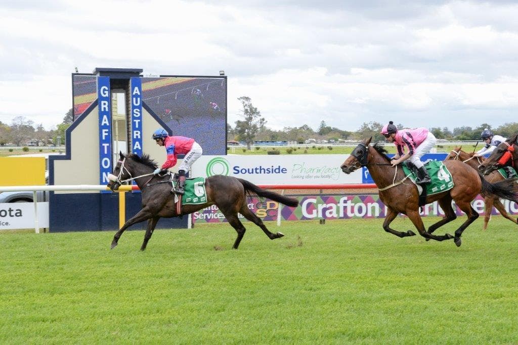 Picture of the author