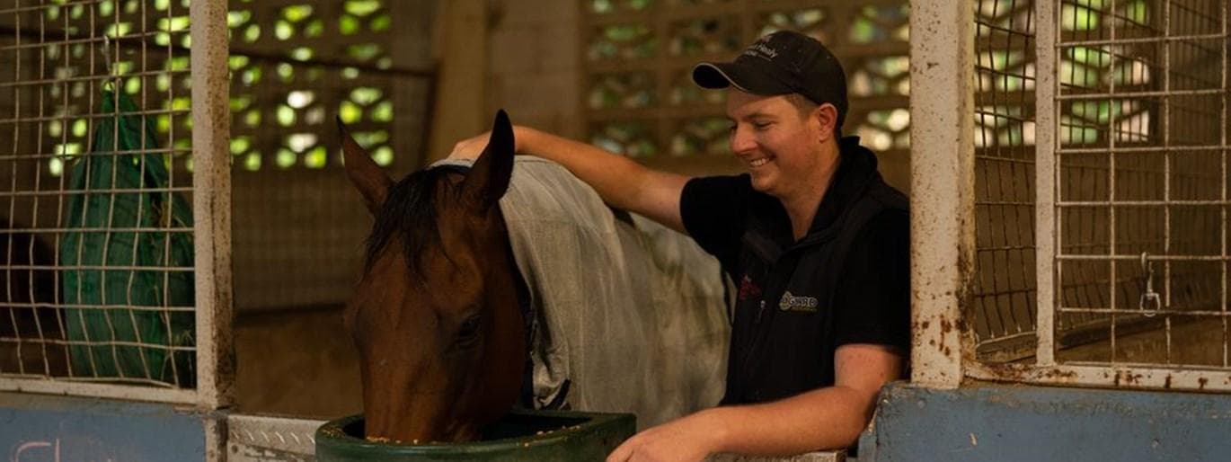 Picture of the author