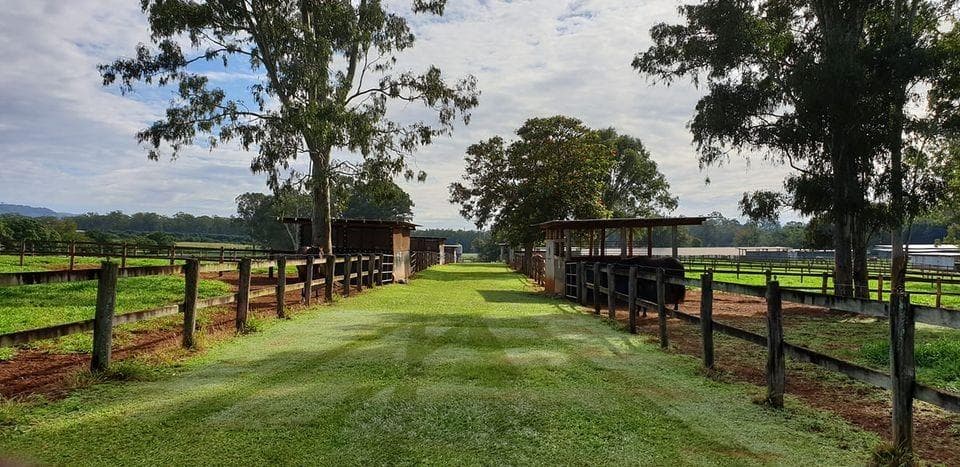 Picture of the author