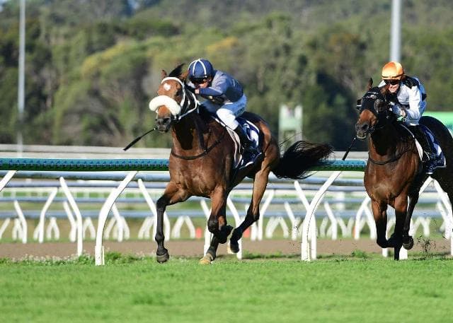 Smoke On The Water wins the Pink Ribbon Cup