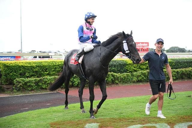 The Irish wins again for his very happy Owners
