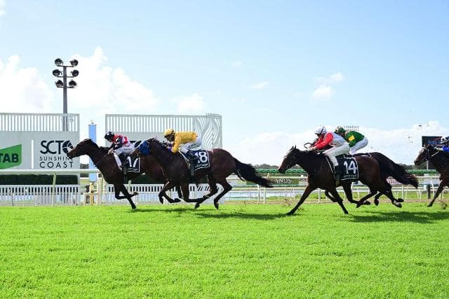Winning double for the James Healy Racing team at Sunshine Coast