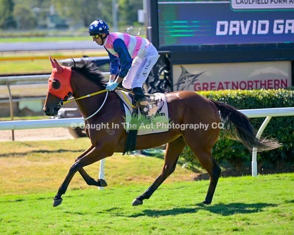 Ablesheeba takes out his Maiden win at Rockhampton