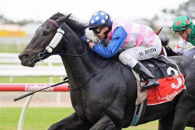The Irish wins again for his very happy Owners